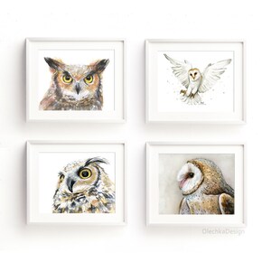May include: Four framed watercolor owl prints. The owls are depicted in various poses, with detailed feathers and bright yellow eyes. The prints are in white frames, creating a clean and modern aesthetic. The artwork is signed "OlechkaDesign".