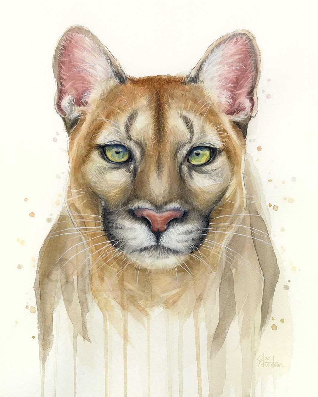 Puma aqua cat hotsell