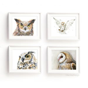 May include: Set of four watercolor paintings featuring owls. The paintings are framed in white frames and are arranged in a grid pattern. The owls are depicted in various poses, including a close-up of a great horned owl, a barn owl in flight, and a barn owl with its head turned to the side.