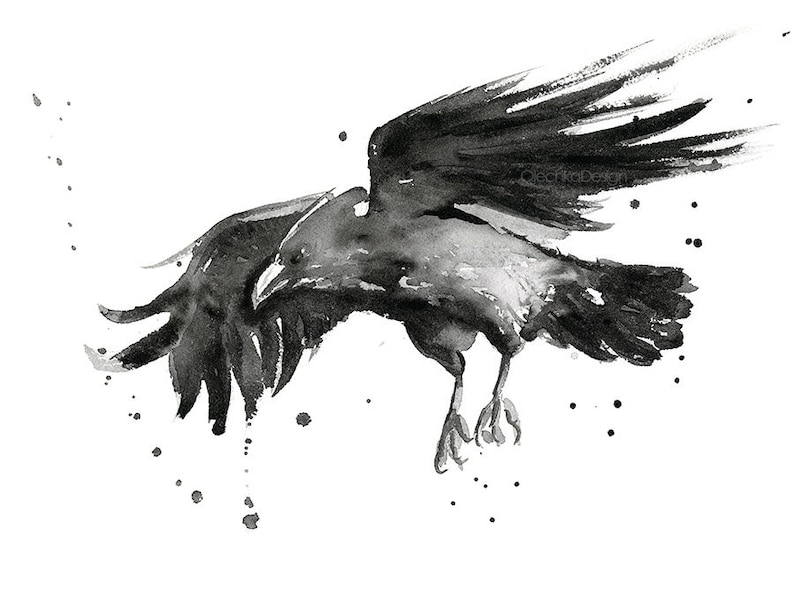 May include: Black and white watercolor painting of a crow in flight. The crow is depicted with its wings spread wide and its talons extended. The background is a white canvas with black ink splatters.