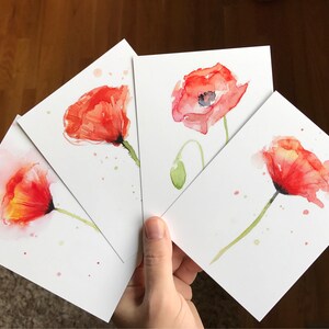 May include: Four watercolor paintings of red poppies on white card stock. Each painting features a single poppy with a green stem and leaves.