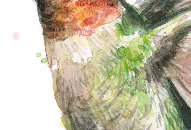 May include: Watercolor painting of a hummingbird in flight. The bird's wings are spread wide, showing the intricate details of its feathers. The painting is done in shades of green, brown, and red.