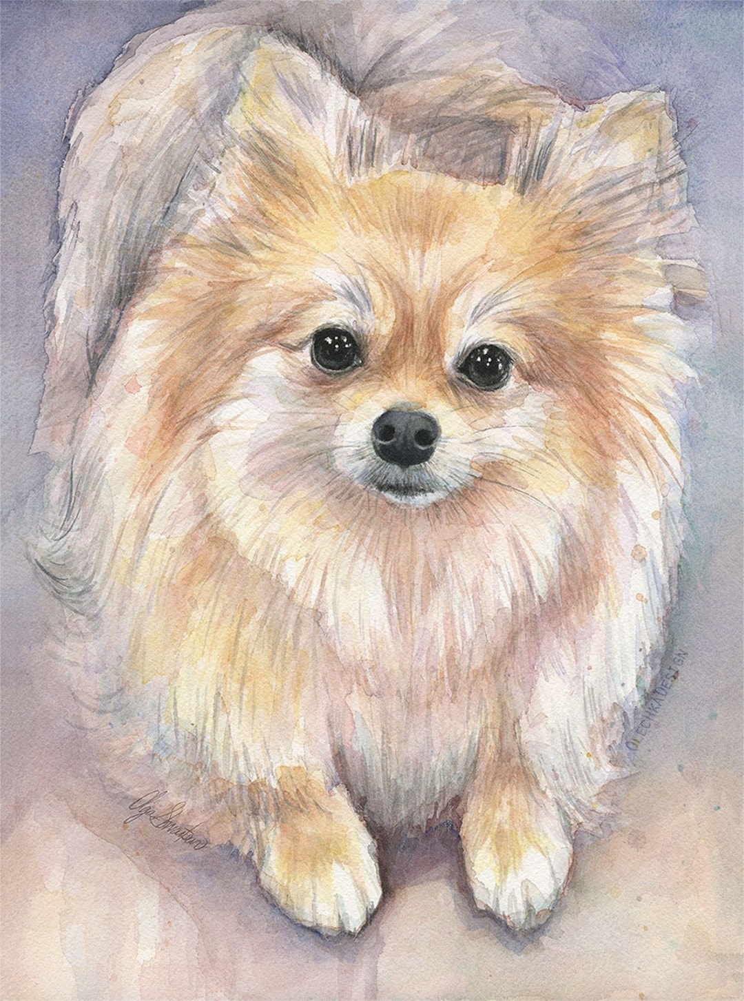 狼林（ROURIN）作　犬（ポメラニアン）の水彩画 2008年 狼林（ROURIN）作 犬（ポメラニアン）の水彩画 2008年 - メルカリ