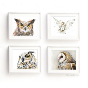 May include: Four watercolor paintings of owls. The top left image shows a great horned owl with brown and white feathers and yellow eyes. The top right image shows a barn owl with white feathers and yellow eyes in flight. The bottom left image shows a great horned owl with brown and white feathers and yellow eyes. The bottom right image shows a barn owl with white feathers and yellow eyes.