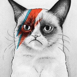 May include: A black and white drawing of a grumpy cat with a red and blue lightning bolt design across its forehead. The cat has a serious expression and is looking directly at the viewer.