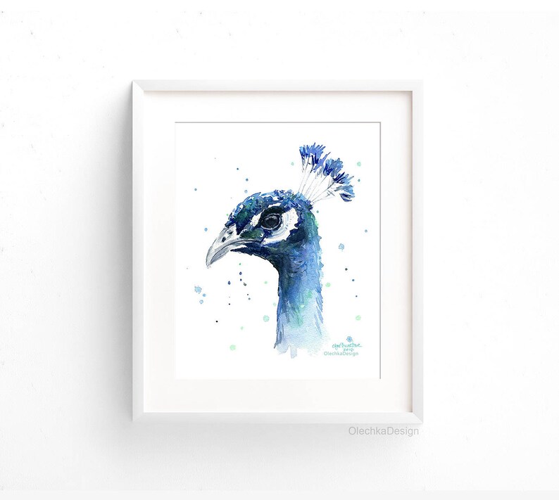 May include: Watercolor painting of a blue peacock with a white background. The peacock's head is turned to the side, and its feathers are spread out behind it.