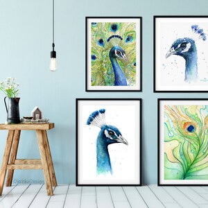May include: Four framed watercolor paintings of peacocks. The top left painting shows a peacock with its tail feathers spread out. The top right painting shows a peacock's head and neck. The bottom left painting shows a peacock's head and neck. The bottom right painting shows a single peacock feather.