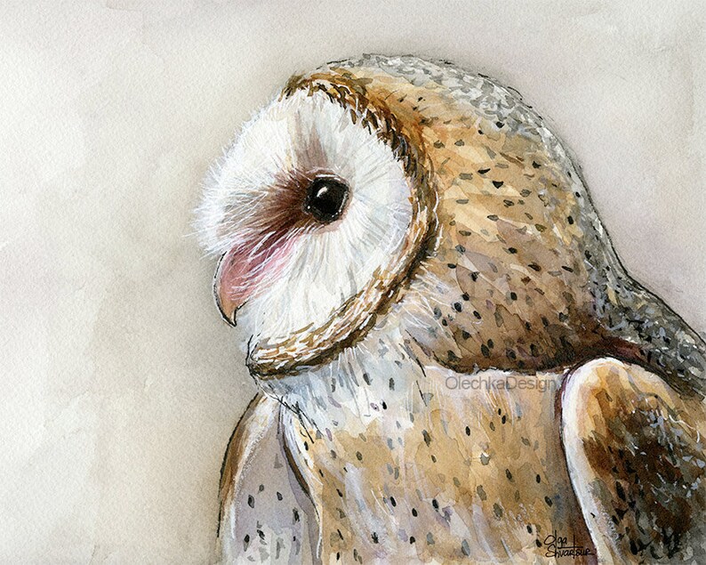 May include: A watercolor painting of a barn owl with brown and white feathers. The owl is looking to the left and has a pink beak. The background is a light beige.
