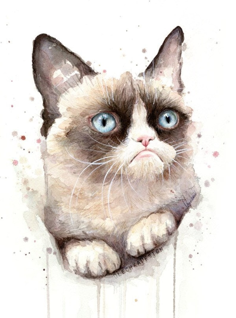Grumpy Cat Watercolor Giclee Art Print, Animal Portrait image 1