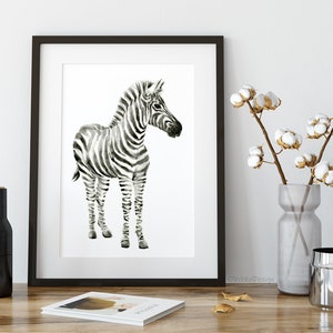 May include: Black and white watercolor painting of a zebra foal standing on a white background. The zebra has black stripes on a white background. The painting is framed in a black frame.