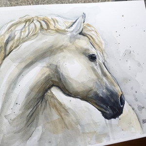 Peinture d'aquarelle de cheval blanc, oeuvre originale, art animal d'aquarelle, peinture de cheval, portrait de cheval, illustration de cheval, 9x12