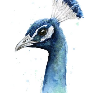 May include: Watercolor painting of a peacock's head with a blue and green color scheme. The peacock's eye is visible and the painting has a white background with blue and green watercolor splatters.