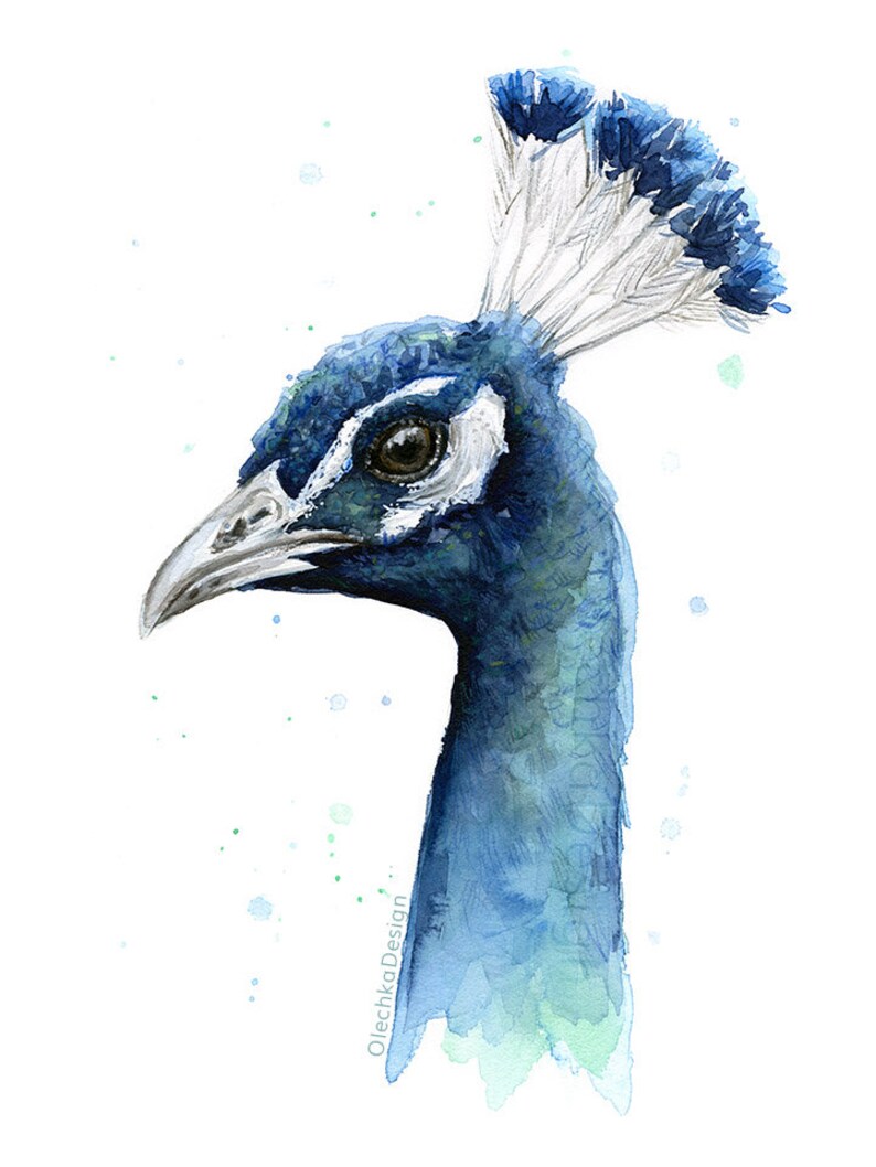 May include: Watercolor painting of a peacock's head with a blue and green color scheme. The peacock's eye is visible and the painting has a white background with blue and green watercolor splatters.