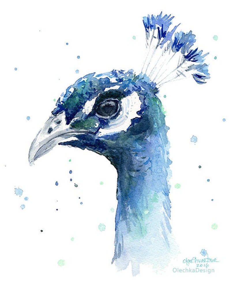 May include: Watercolor painting of a peacock's head with a blue and green color scheme. The peacock's eye is visible and the background is white with blue and green watercolor splatters.