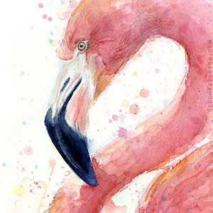 May include: A watercolor painting of a pink flamingo with a black beak. The background is white with colorful watercolor splatters.