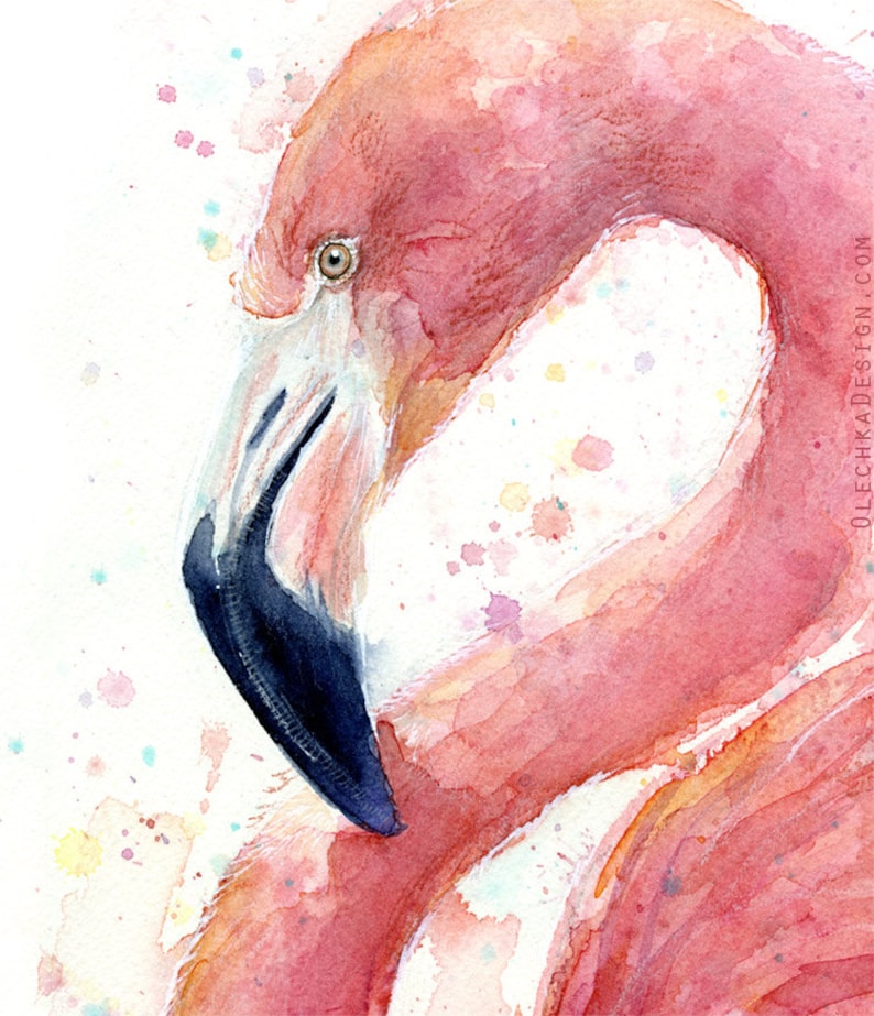 May include: A watercolor painting of a pink flamingo with a black beak. The background is white with colorful watercolor splatters.