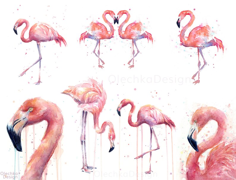 Pink Flamingo Watercolor Painting, Flamingo Art Print, Pink Bird Watercolor Animal Wall Art Home Decor Tropical Pink Flamingo image 3