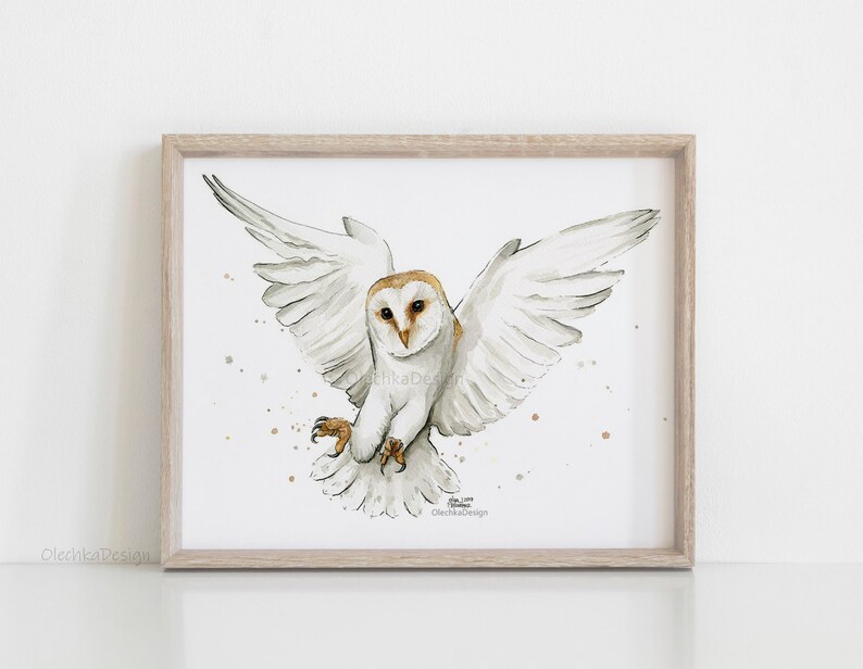 May include: A watercolor painting of a barn owl with its wings spread, flying against a white background with brown speckles. The owl has a white body with brown markings on its face and wings.