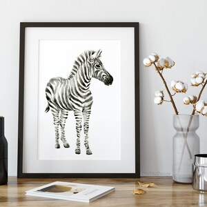 May include: Black and white watercolor painting of a zebra foal standing on a white background. The zebra has black stripes on a white background. The painting is framed in a black frame.