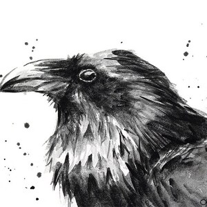 May include: Black and white watercolor painting of a raven with a detailed, textured look. The raven is looking up and to the right. The background is white with black ink splatters.