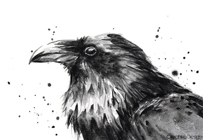 May include: Black and white watercolor painting of a raven with a detailed, textured look. The raven is looking up and to the right. The background is white with black ink splatters.