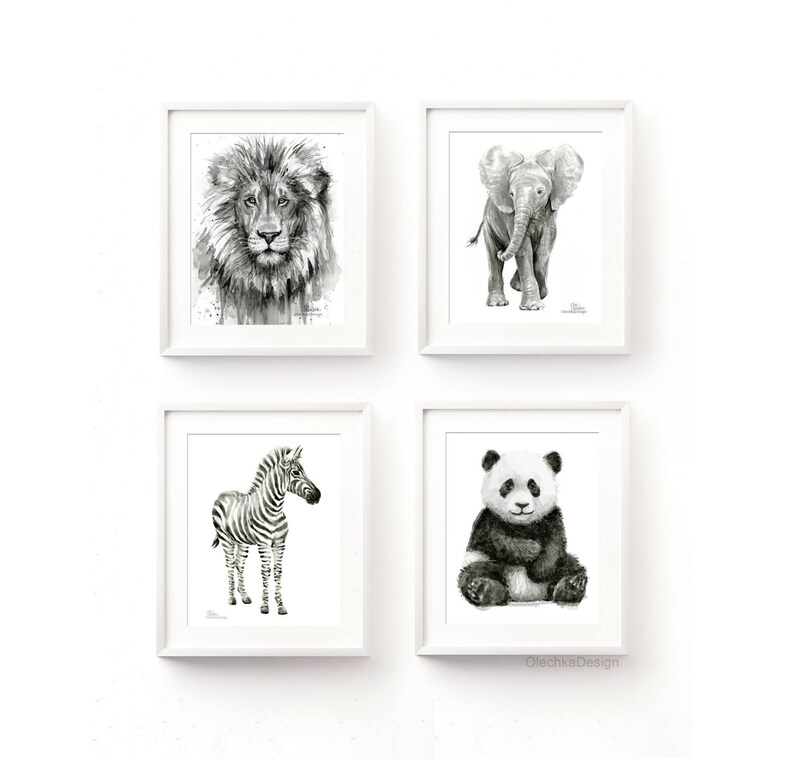 May include: Set of four black and white animal illustrations in white frames. The illustrations depict a lion, elephant, zebra, and panda.
