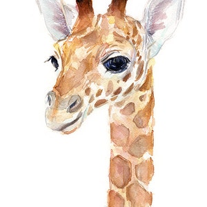 May include: A watercolor painting of a baby giraffe with brown and tan spots. The giraffe has large, dark eyes and a sweet expression. The painting is done on a white background.