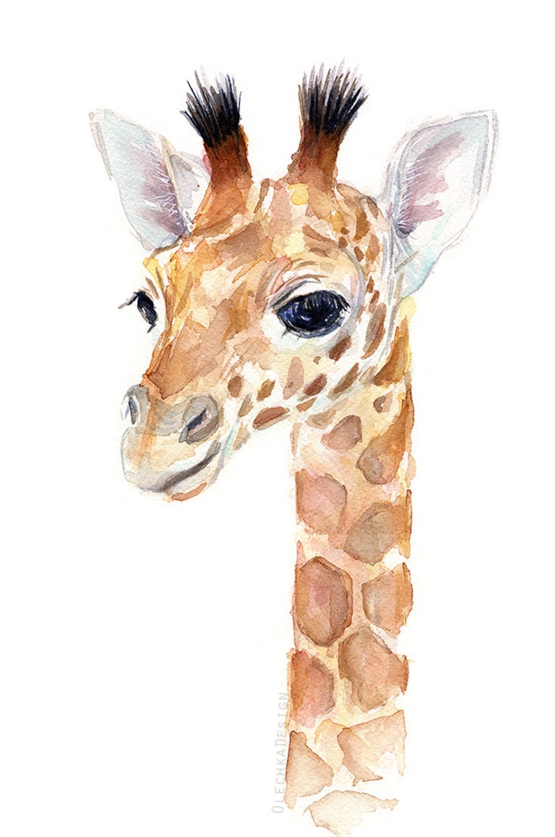 May include: A watercolor painting of a baby giraffe with brown and tan spots. The giraffe has large, dark eyes and a sweet expression. The painting is done on a white background.
