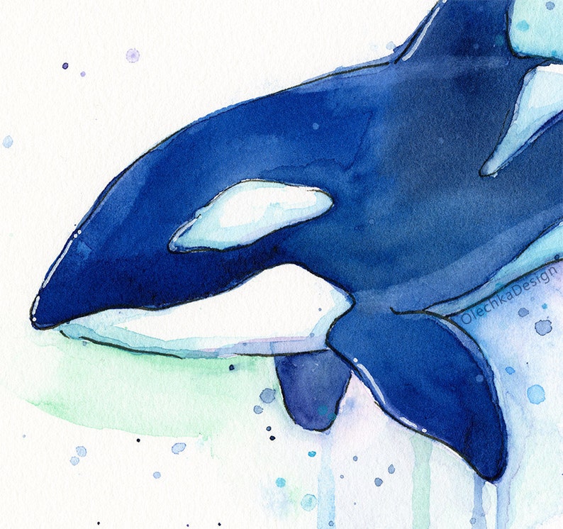 Killer Whale Orca Watercolor Art Print, Whale Art, Whale Painting, Orca Art, Sea Creatures, Nursery Art Print, Orca Painting, Whale Wall Art image 6