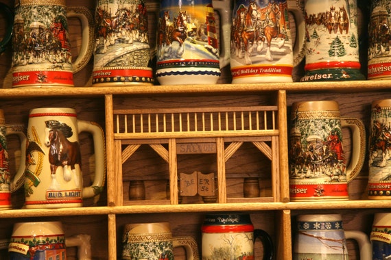 Beer Stein Display Case 50