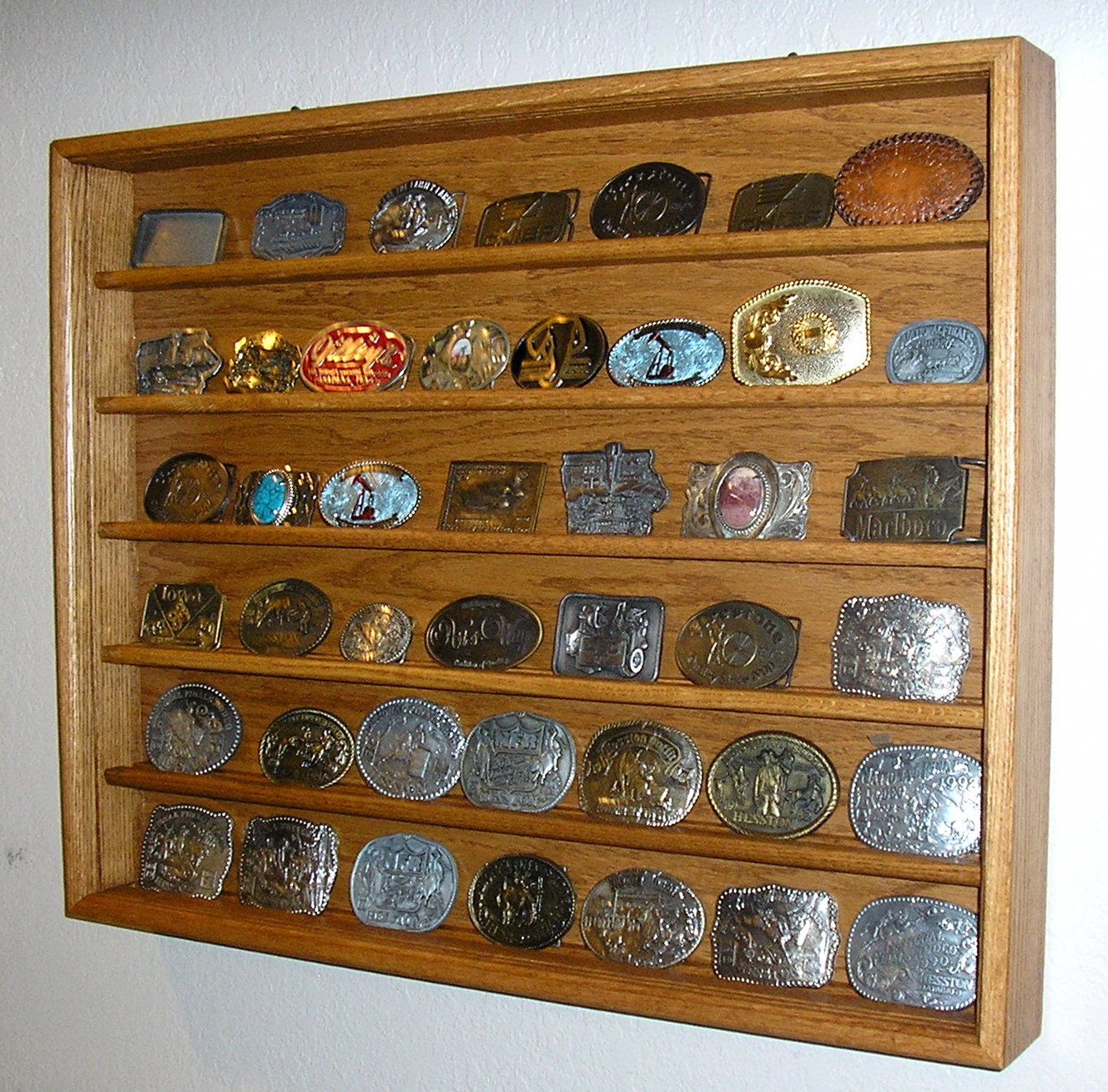 Belt Buckle Display Case Etsy