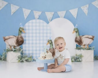 Blue Duck Cake Smash Background | Farm Birthday Backdrop | Digital Download (PNG Format)