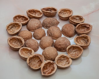 Moitiés de coquilles de noix naturelles (10 pièces), Fournitures créatives à faire soi-même