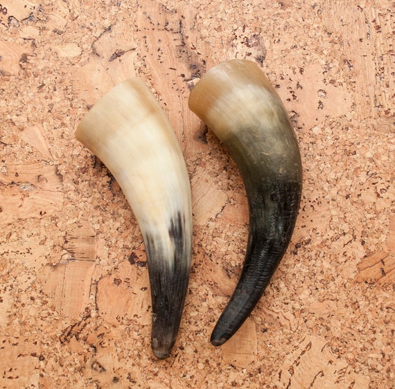 Shofar In Corno Di Ariete - Corno Daturale Con Scanalature