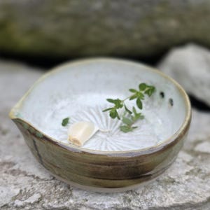 Peut inclure: Un bol râpeur en céramique rond avec un intérieur blanc présentant un motif texturé en forme d'étoile à la base. L'extérieur est recouvert d'une glaçure marbrée brune et verte. Une gousse d'ail et un petit brin d'herbes vertes sont à l'intérieur.