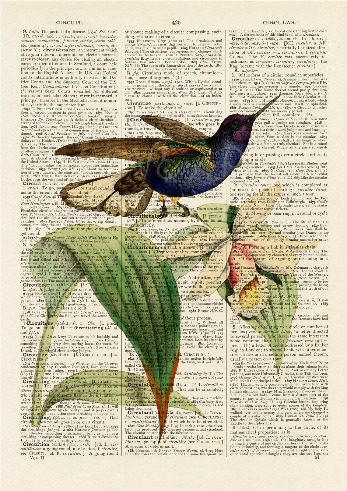 Set of 6 Hummingbirds Book Page Art prints Hummingbird Art Etsy