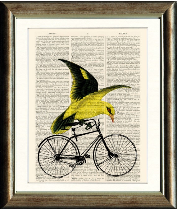 bird riding bike