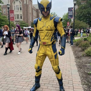 Può includere: Un costume integrale di Wolverine composto da una tuta gialla e blu con maschera abbinata. L'outfit include una cintura con fibbia a X rossa, spallacci blu e stivali blu con cinturini neri. Il design presenta un aspetto usurato e strutturato.