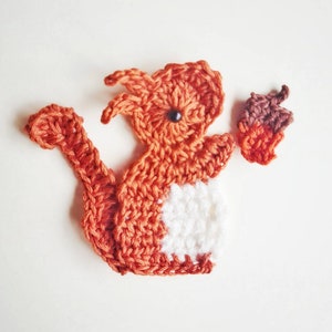 May include: A crocheted orange and white squirrel holding a brown acorn. The squirrel is made of yarn and has a white belly.