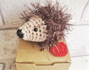 Hedgehog in a Box Handmade Crochet Toy, Hedgehog lovers gift, birthday keepsake, Hedgehog gifts, cute gifts, Christmas stocking filler