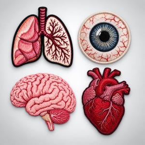 Anatomical Embroidery Patch Set: Heart, Brain, Lungs, Eye (4 Inch)