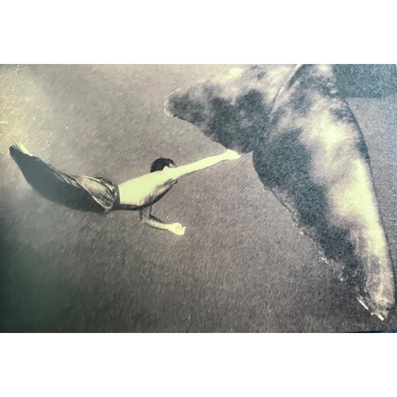 Ashes and Snow Gregory Colbert - Etsy