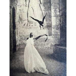 Gregory Colbert - Etsy