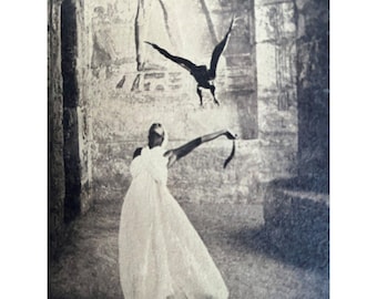 Gregory Colbert, Cendres et Neige, Livre 4 - Reliure détachée, Texte/Photos en bon état