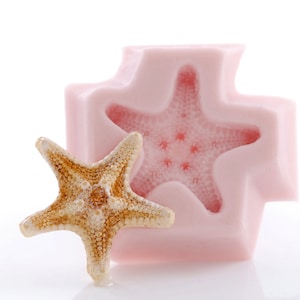 Knobby Starfish Silicone Mold  Food Safe Fondant Chocolate Cream Cheese Mint Candy Mold - Jewelry Craft Resin Polymer Clay Epoxy Mold  (883)