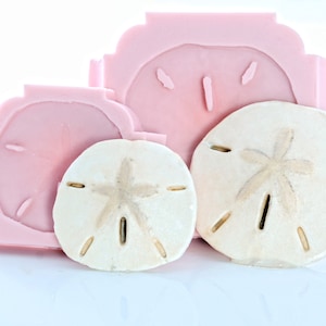 Könnte beinhalten: Zwei Sanddollar-Formen aus rosa Silikon und zwei echte Sanddollar. Die Sanddollar sind weiß mit einem sternförmigen Muster in der Mitte.