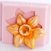see more listings in the Flower Molds  section