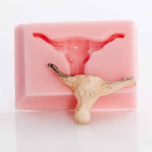 May include: A light pink, rectangular mold with a uterus-shaped cavity. A dried, beige uterus is placed in front of the mold. The background is white.