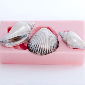 Könnte beinhalten: Drei Muscheln in einer rosa Silikonform. Die Muscheln haben unterschiedliche Formen und Größen und sind in Weiß und Grau gehalten.
