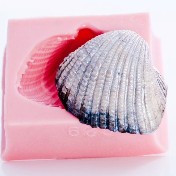 827 Seashell Candy Mold Chocolate Gumpaste Soap Candle Wax Clay Silicone Mold